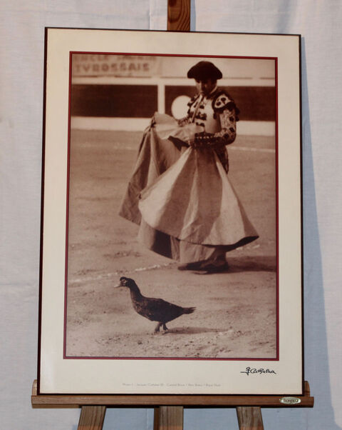 TAUROMACHIE  :      CANARD- BRAVE    40 Anglet (64)