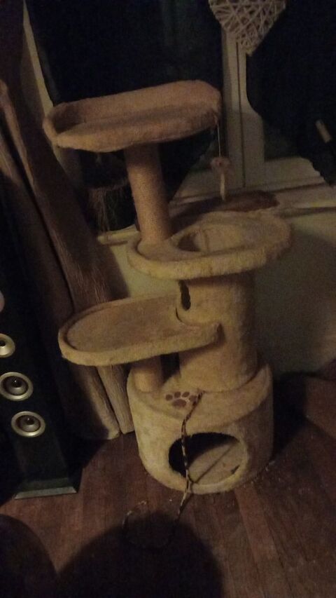 Arbre &agrave; chat 20 29200 Brest