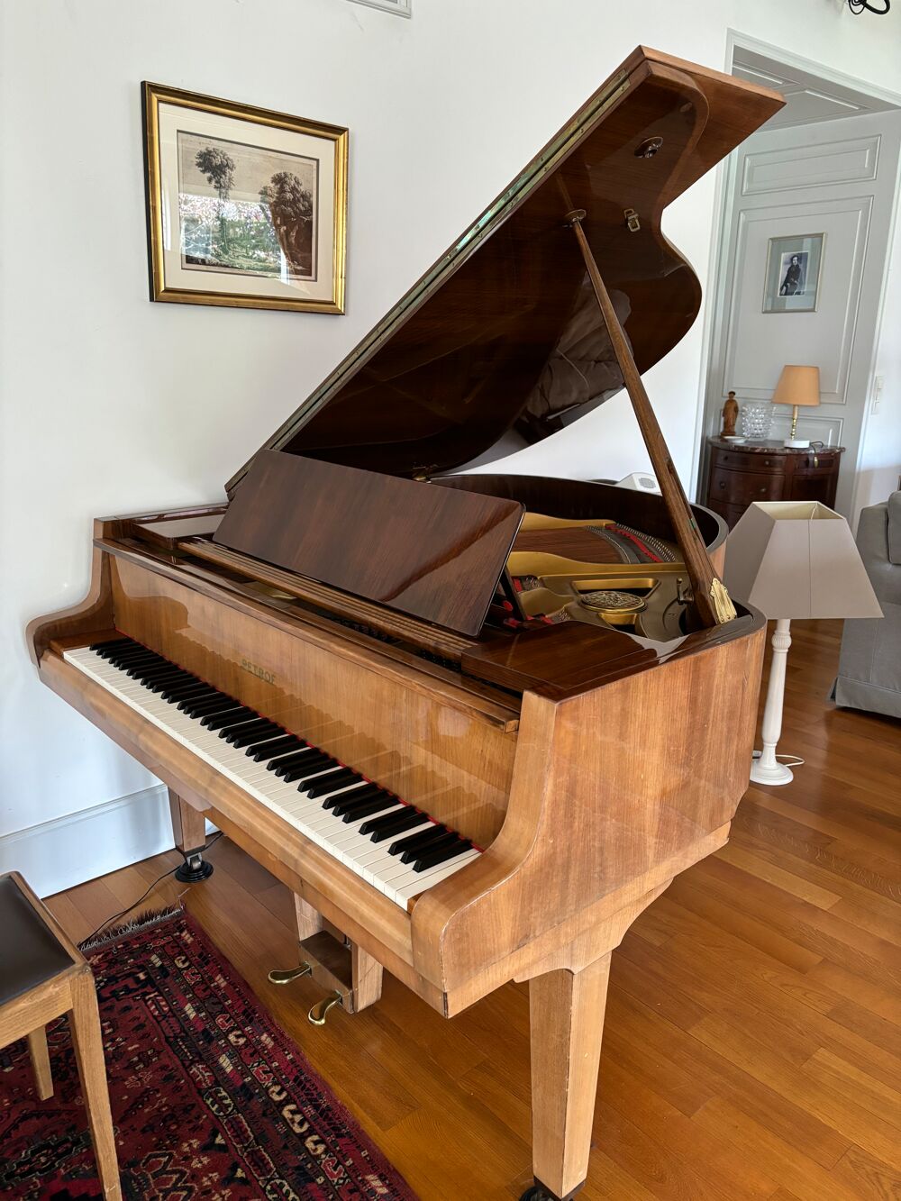 cause d&eacute;c&egrave;s , piano &agrave; queue Petrof Instruments de musique