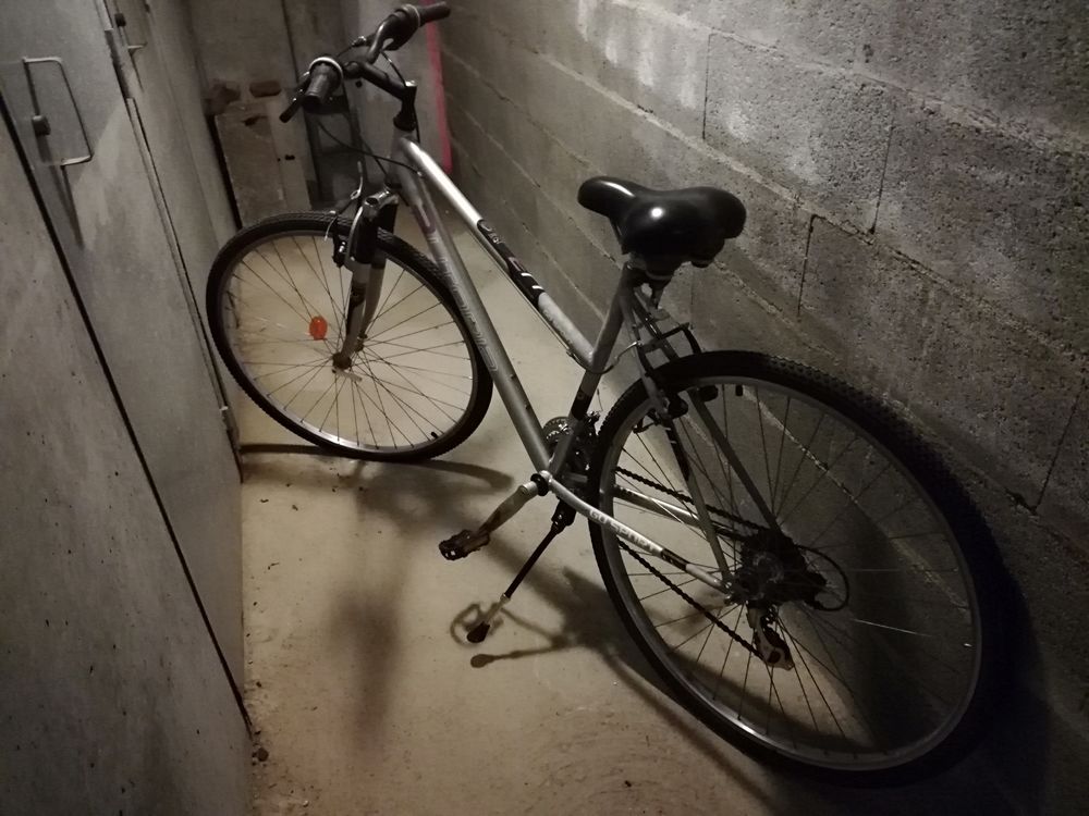 VELO FEMME Vélos