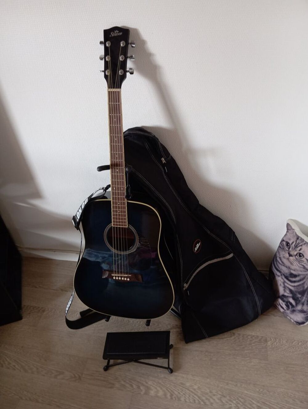 Guitare folk Instruments de musique