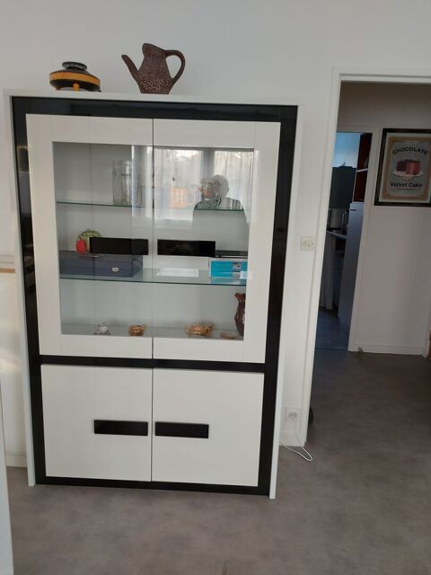 Vitrine 100 Mont�lier (26)