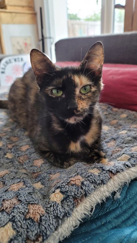 Epsilon 120 44000 Nantes