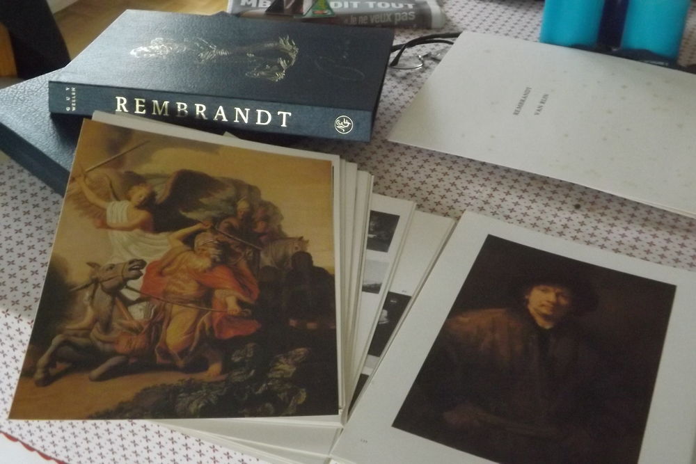 9 volumes sur peintres Livres et BD