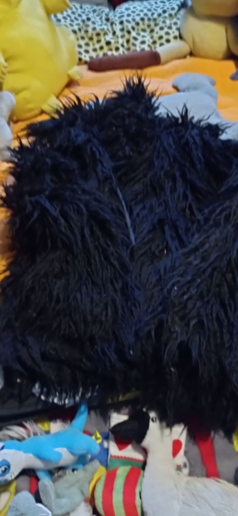 veste noire bouclette Vêtements