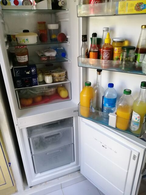 r�frig�rateur cong�lateur SHARP 160 Mandelieu-la-Napoule (06)