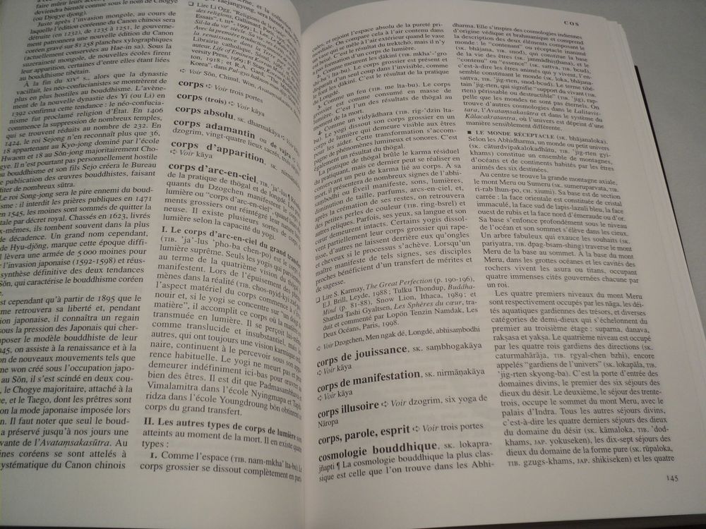 DICTIONNAIRE ENCYCLOP&Eacute;DIQUE DU BOUDDHISME
Livres et BD