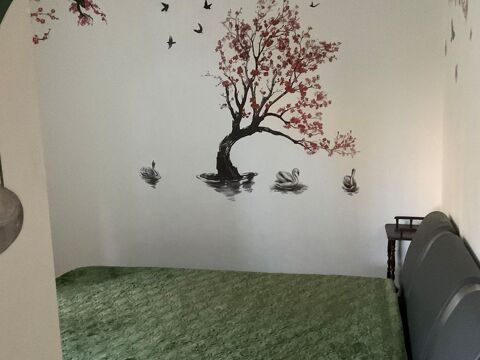  Villa � louer 2 pi�ces 33 m�