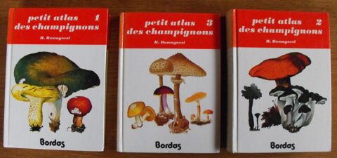 PETIT ATLAS DES CHAMPIGNONS Camors (56)