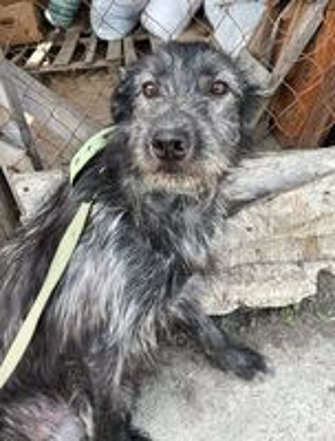   BOUBA SE TROUVE DANS UN REFUGE EN UKRAINE 
