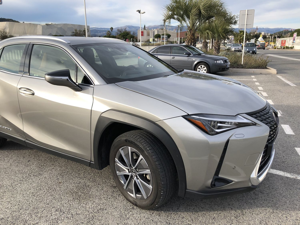 UX 300e Luxe 2022 occasion 06000 Nice