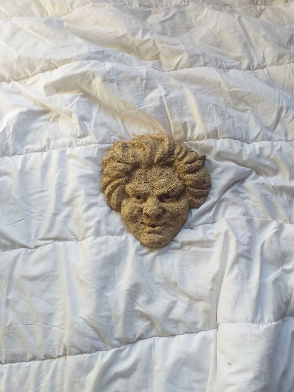 Visages en Pierre de Rognes Jardin