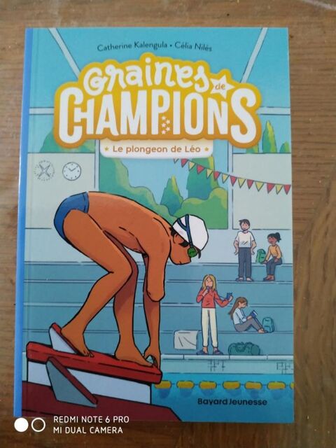 Livre Le plongeon de Léo (Neuf) 5.5 Ardoix (07)