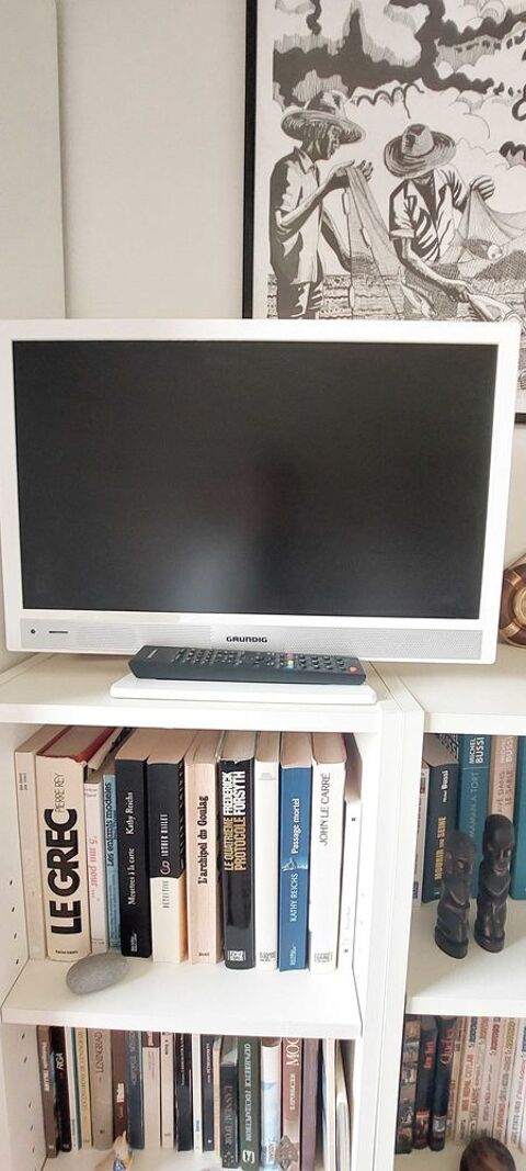poste TV 50 Orvault (44)