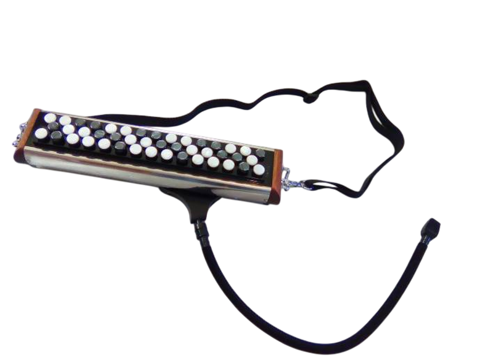 Accordina Version Accord&eacute;oniste Joseph Carrel Neuf !! Instruments de musique