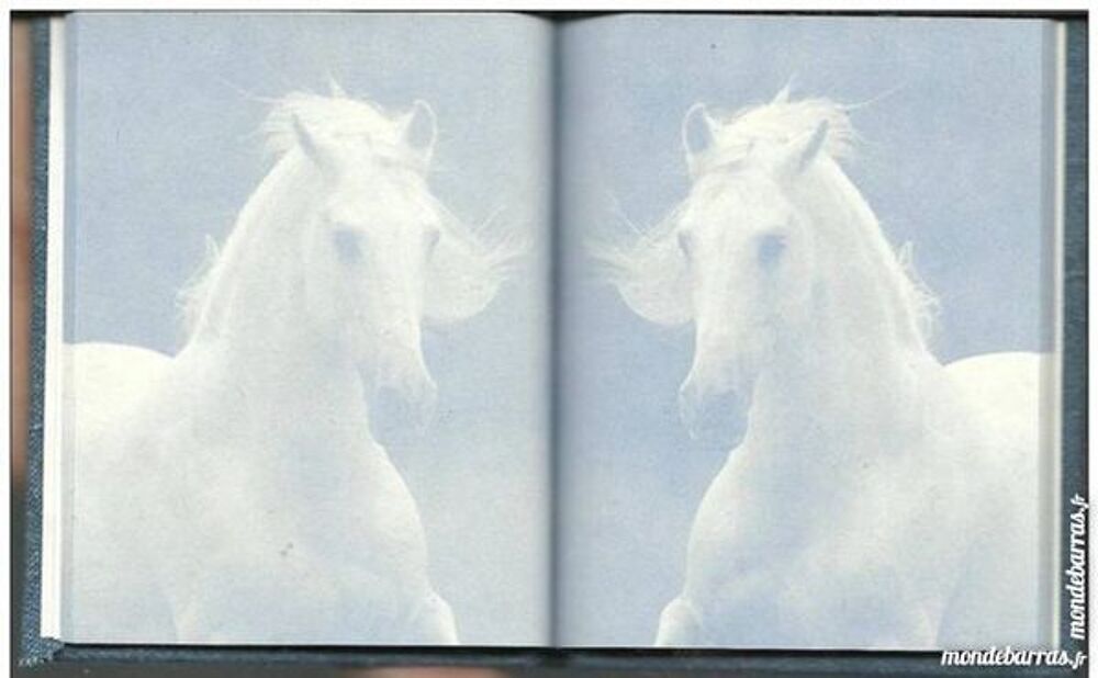 Carnet / calepin / bloc notes au motifs de cheval Jeux / jouets