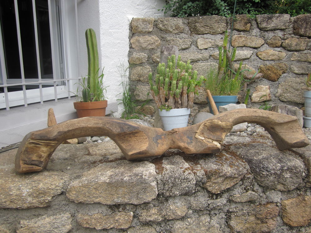  JOUGS &agrave; BOEUF Décoration