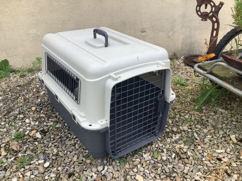 MAGNIFIQUE CAGE DE TRANSPORT POU GROS CHIENS 100 77480 Bray-sur-seine