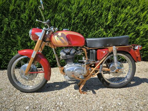 DUCATI Moto 1965 occasion Lux 71100