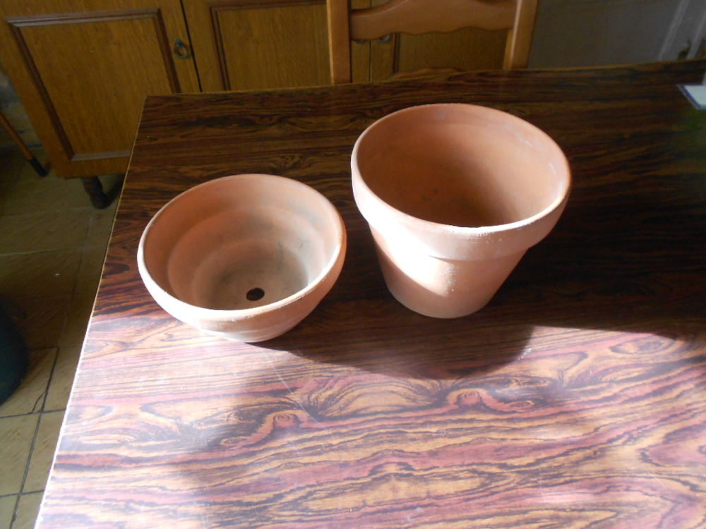 2 POTS EN TERRE CUITE Jardin