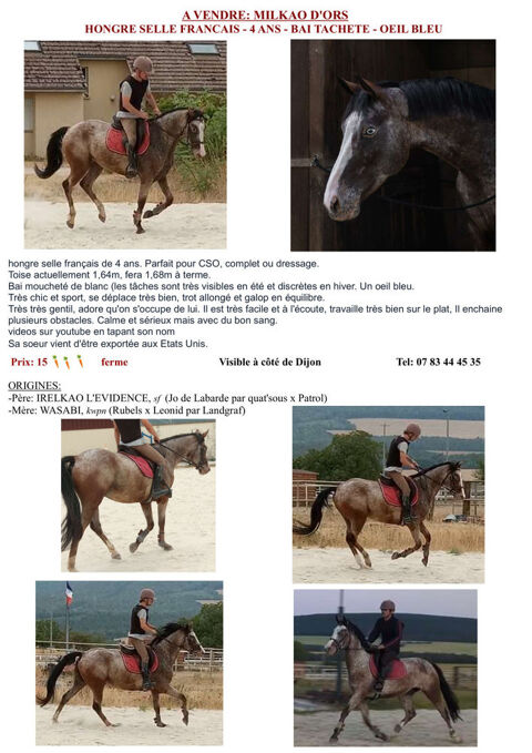 tres joli sf de 4 ans look unique 15000 21410 Fleurey-sur-ouche