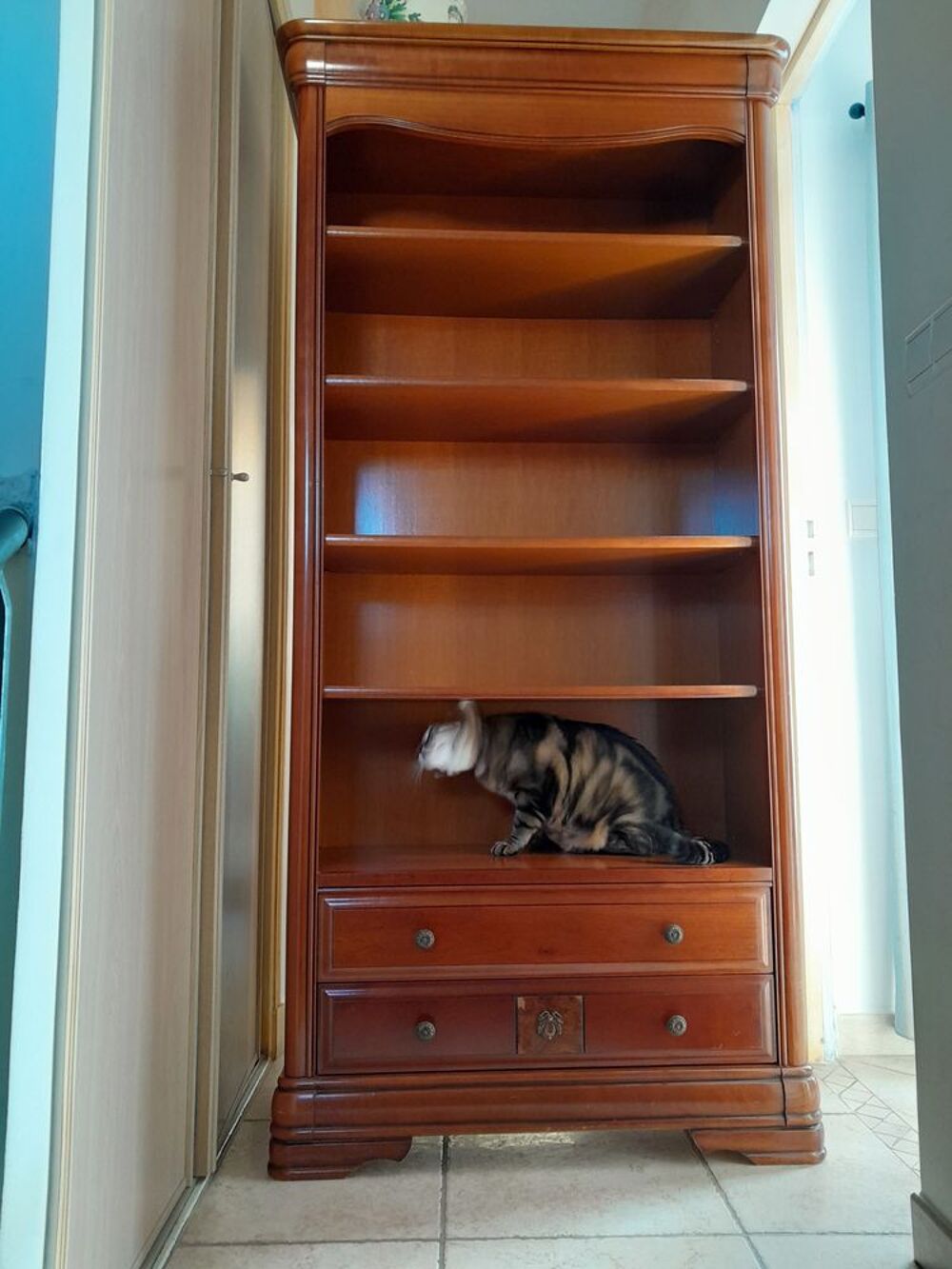 petite biblioth&egrave;que &eacute;tat neuf Meubles