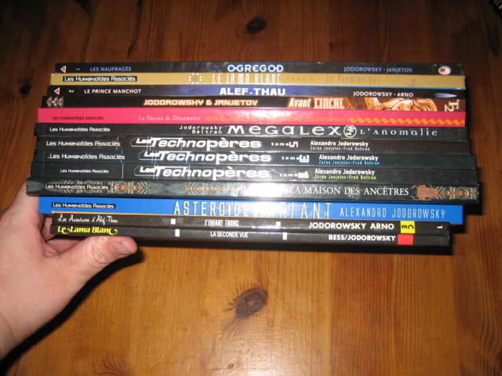 lot 13 albums bd JODOROWSKY lama blanc thecnop&egrave;res alef thau l'incal ETC... Livres et BD