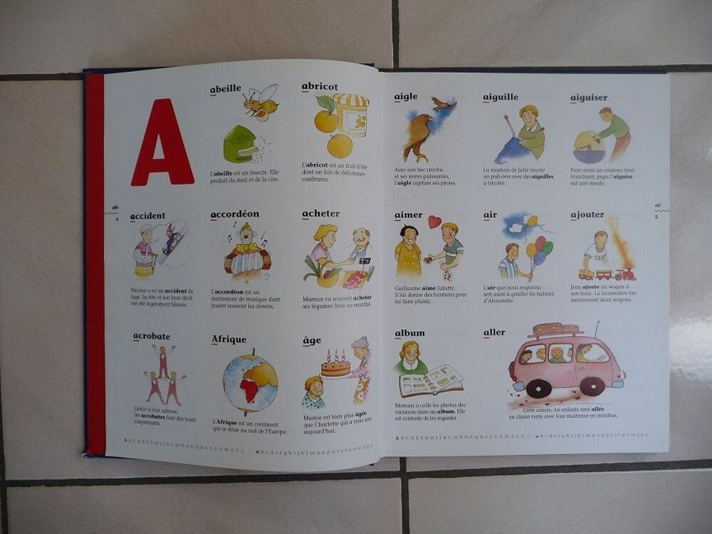 Mon Premier Dico en 1 000 mots Livres et BD