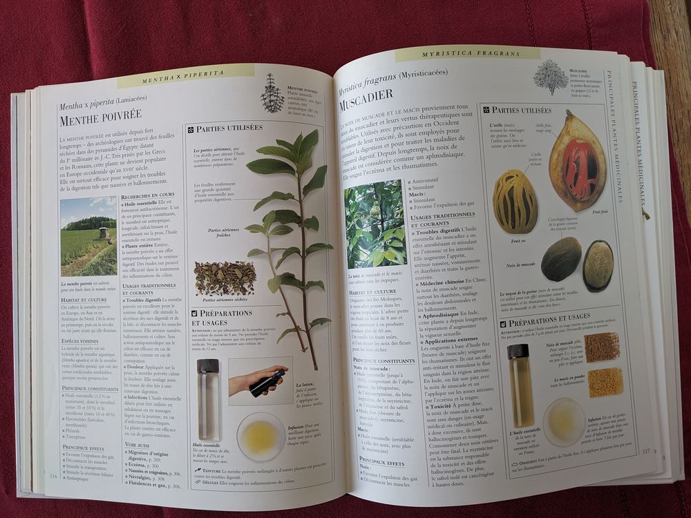 Encyclop&eacute;die des Plantes M&eacute;dicinales Larousse Livres et BD