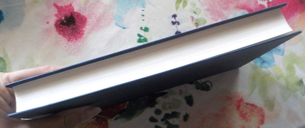 JOURNAL D'UNE INFIRMIERE Ma part des autres par N. BENEVISE Livres et BD