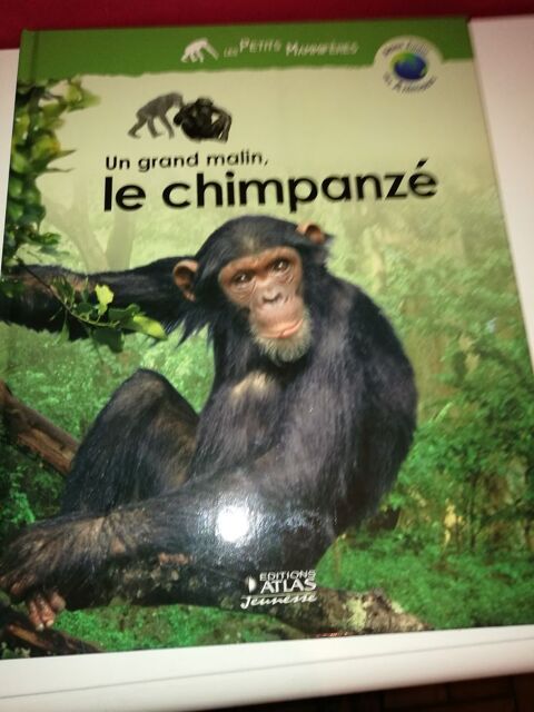 LE CHIMPANZE 3 Villiers (86)