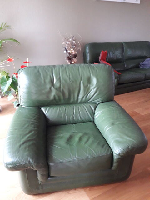 Fauteuil cuir 50 Saint-tienne (42)