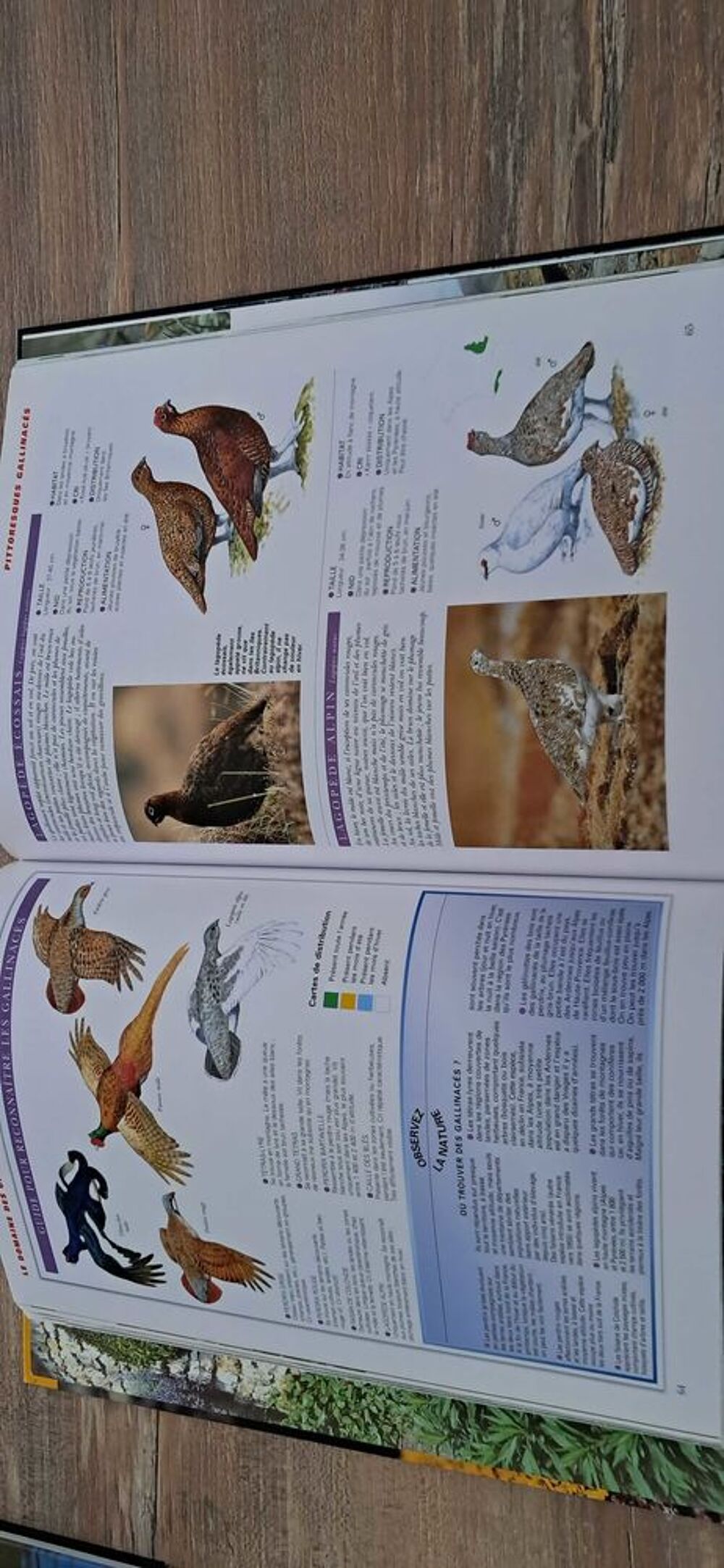 6 livres nature en france edition atlas Livres et BD