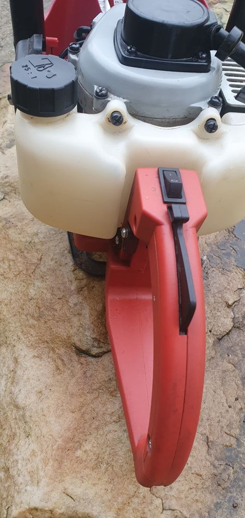 Taille haies thermique Bricolage