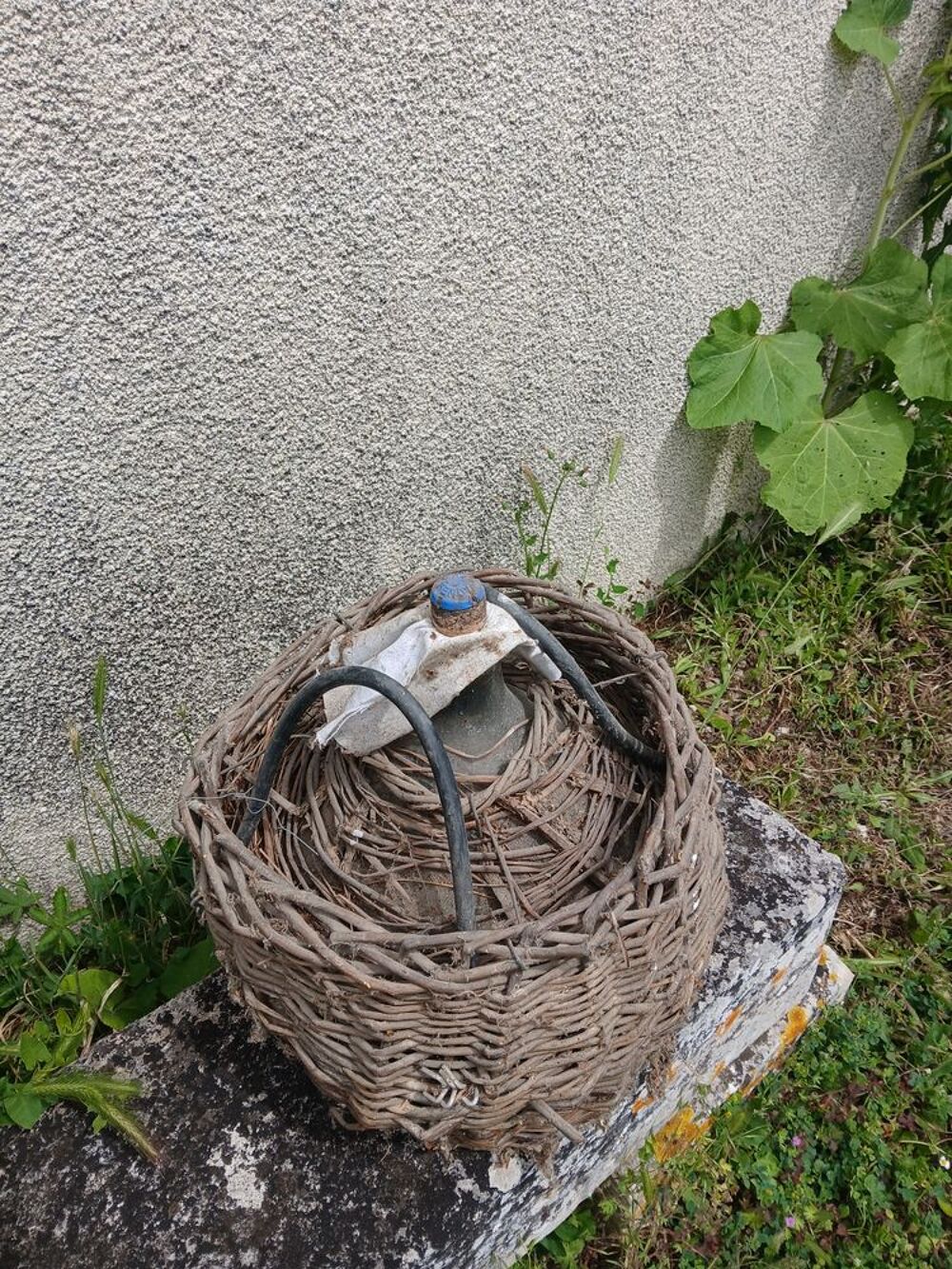 Bombonne en verre Jardin