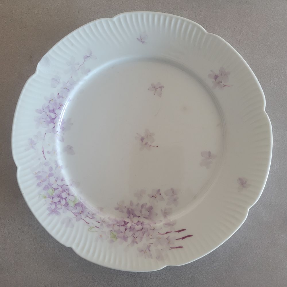 ASSIETTES ANCIENNES GINORI 1735 Décoration