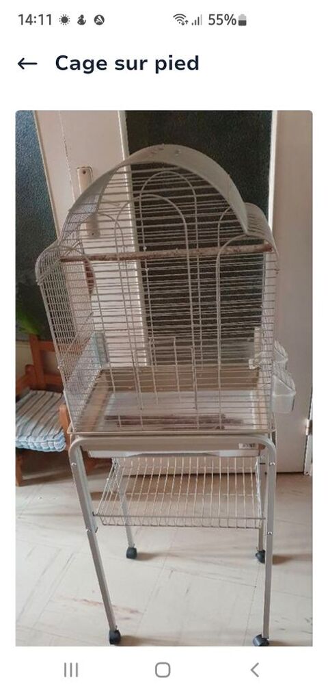 Cage oiseaux 30 35530 Brc