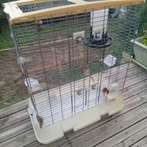   Cage perruches  