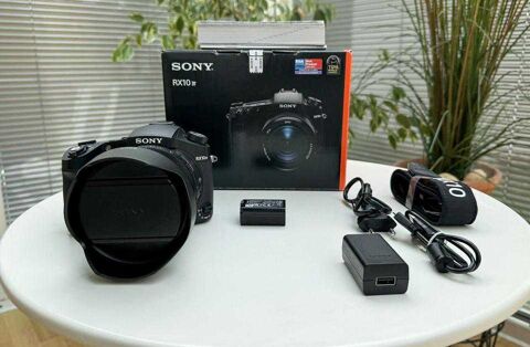 Sony Cyber-shot DSC-RX10 IV 800 Huningue (68)