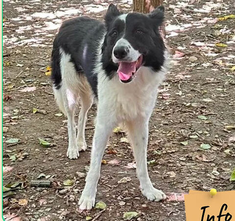 Rom�o 26700 Pierrelatte