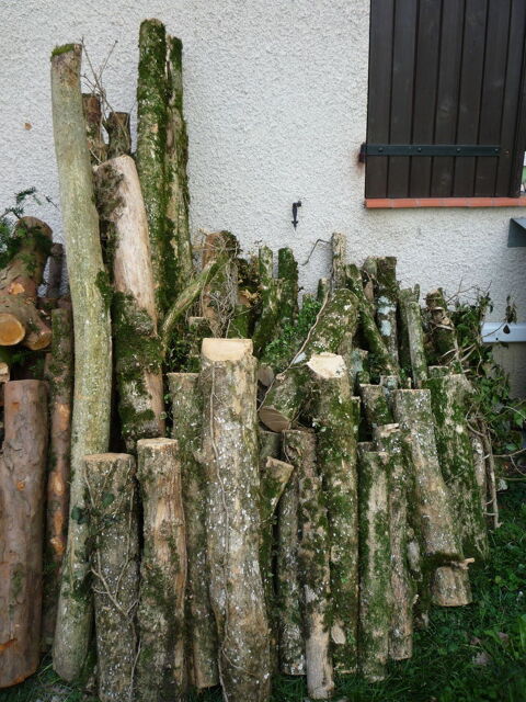 Buche de buis / if
Tourneur sur bois 65 Castres (81)