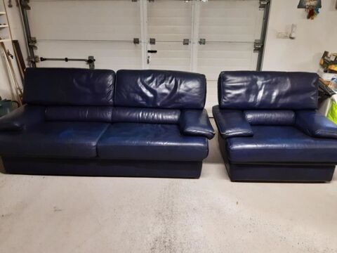 Canap cuir buffle 350 Firminy (42)