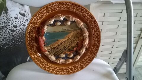 Assiette d�corative
Coquillages 
Excellent etat
Marque PA 10 Talange (57)
