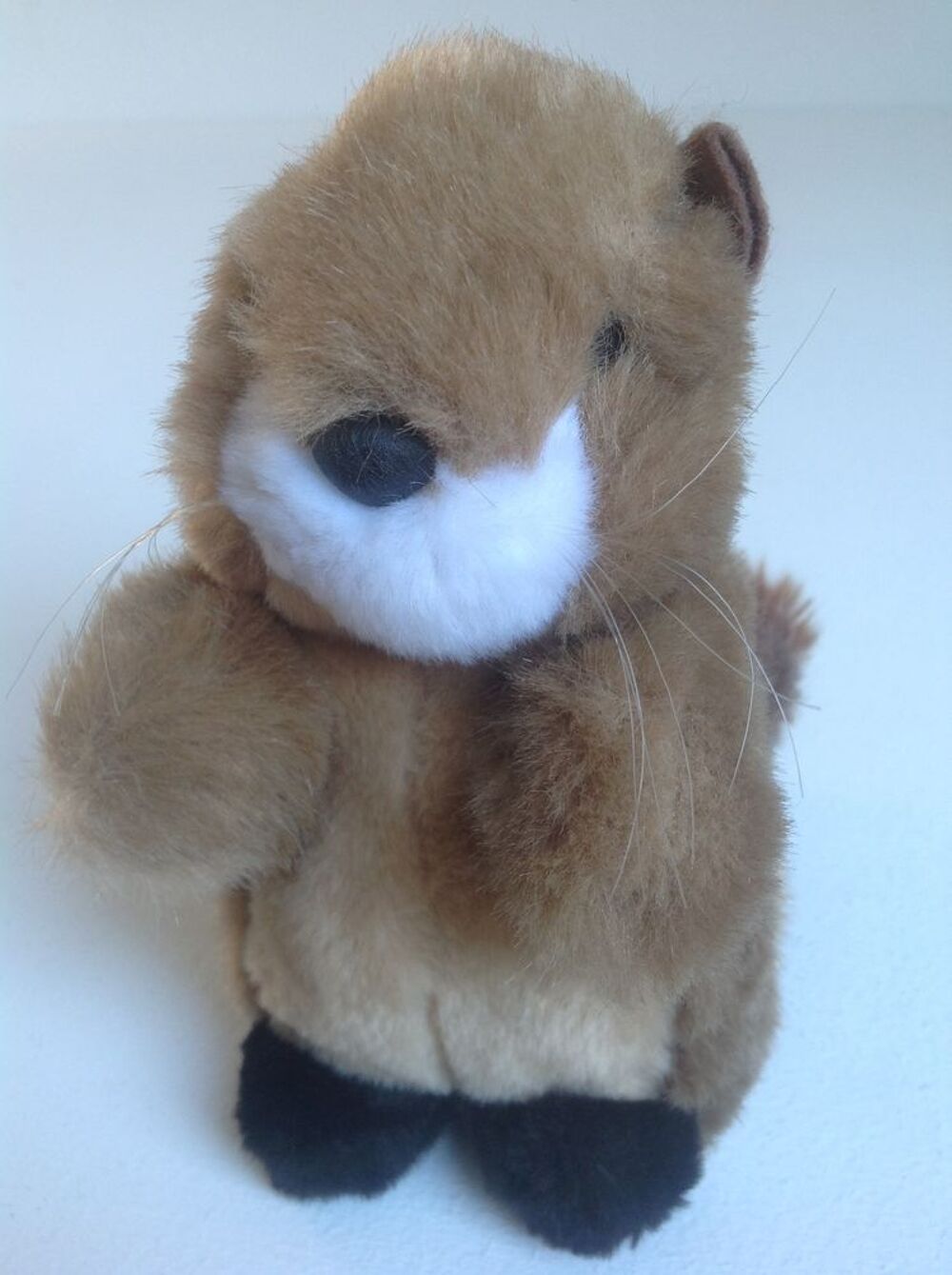 &Eacute;CUREUIL EN PELUCHE Envoi Possible
Jeux / jouets
