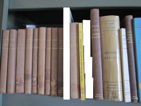 Lot de 21 livres anciens science, nature, mdecine 100 Herblay (95)