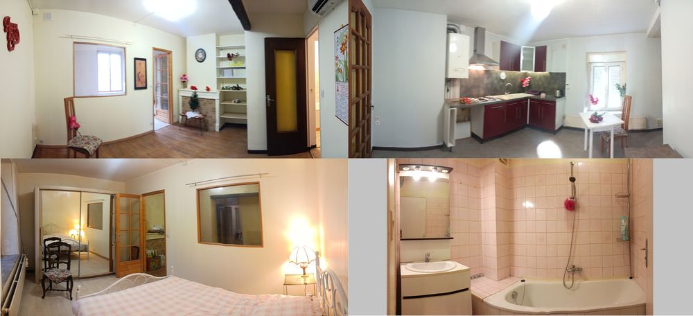 Vente Immeuble Immeuble 370m2  5 appartements LUNEVILLE Lunéville