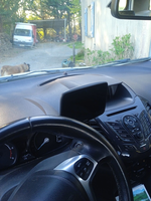 Ecosport EcoSport 1.5 TDCi 95 FAP Titanium occasion 49330 Les Hauts-d'Anjou