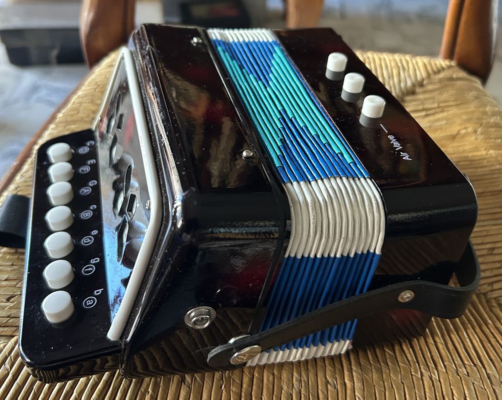 Accord&eacute;on enfant Jeux / jouets