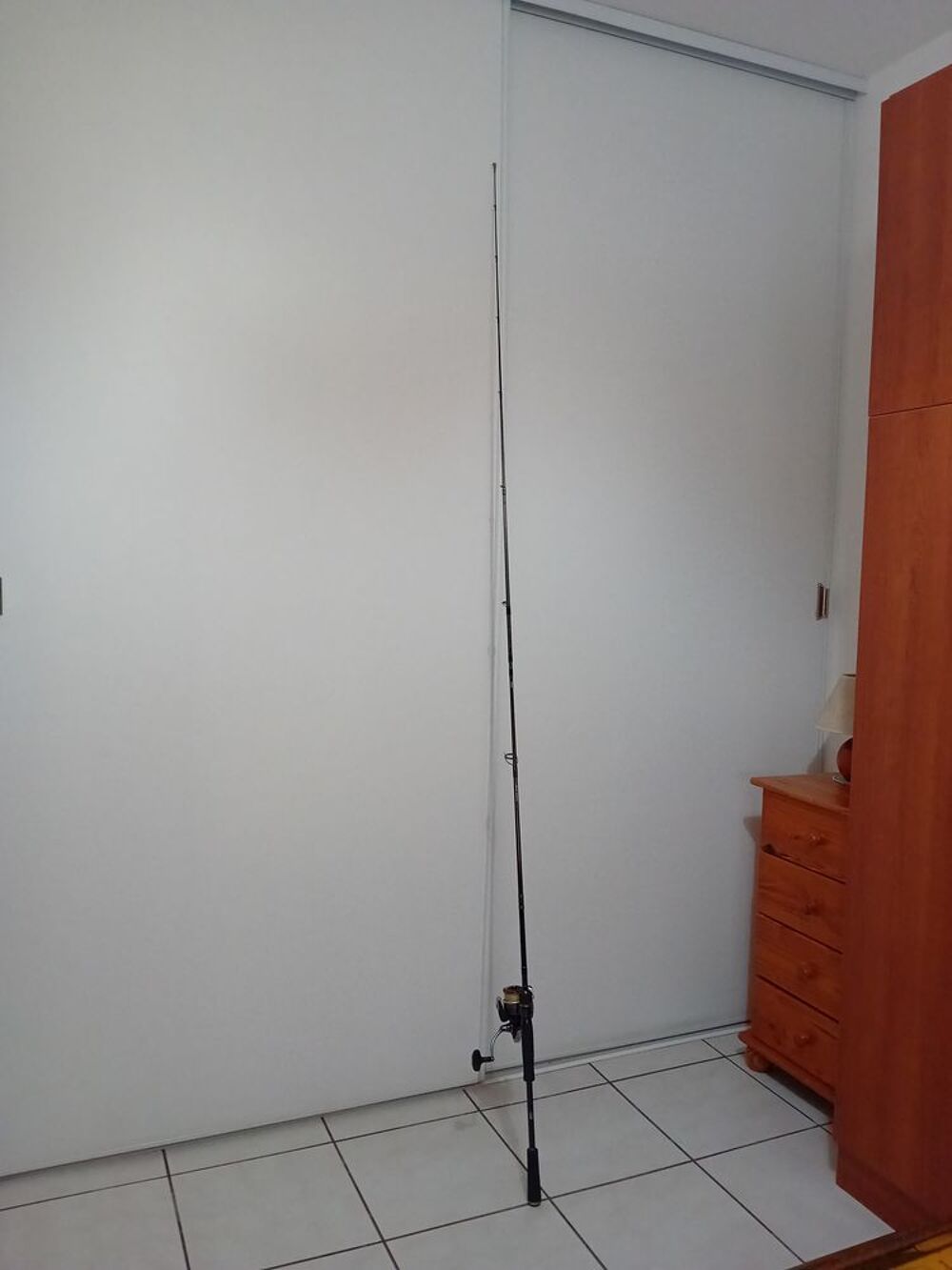 Canne &agrave; p&ecirc;che avec moulinet Sports