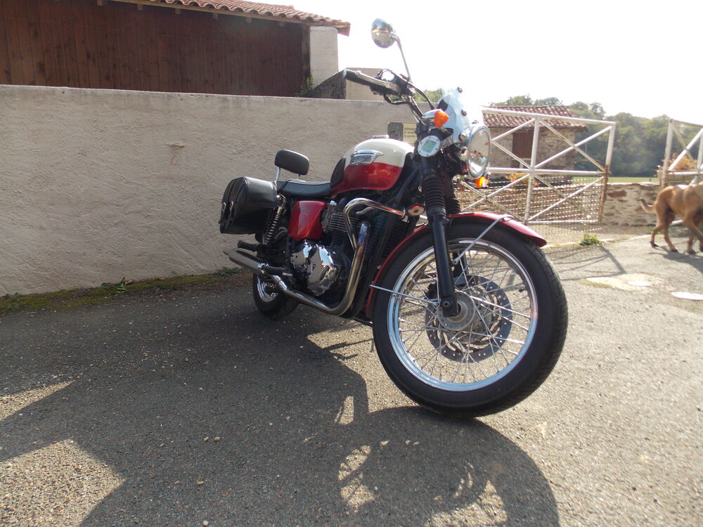 TRIUMPH 2012 occasion 49120 Sainte-Christine